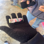 Beehero360