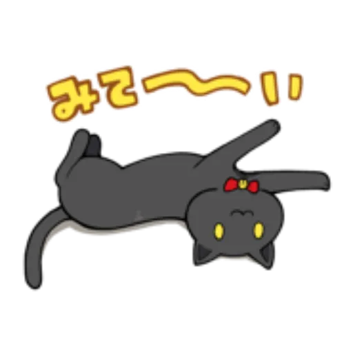 12.webp?v=5.0.66