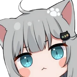 12.webp?v=5.0.66