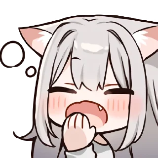 16.webp?v=5.0.70